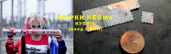 соль ск Пересвет