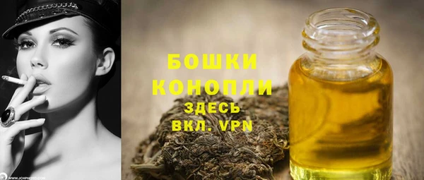 PSILOCYBIN Балабаново