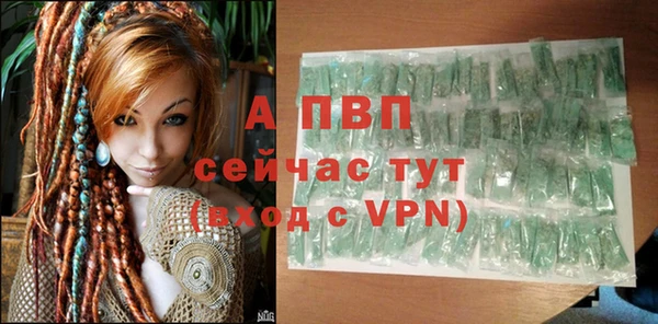 PSILOCYBIN Балабаново
