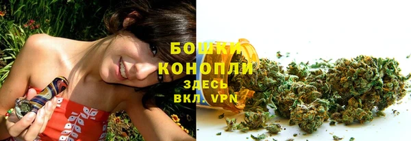 винт Пестово