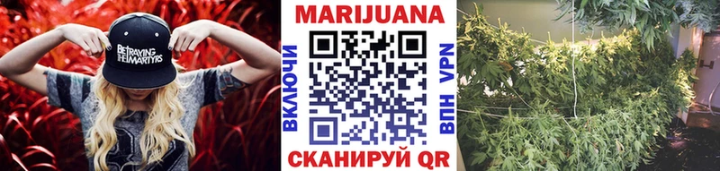 Шишки марихуана гибрид  наркотики  Шали 